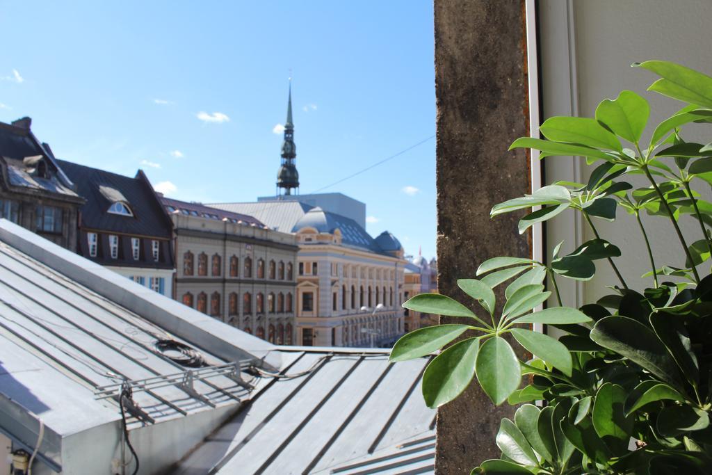 Tree House Vandrerhjem